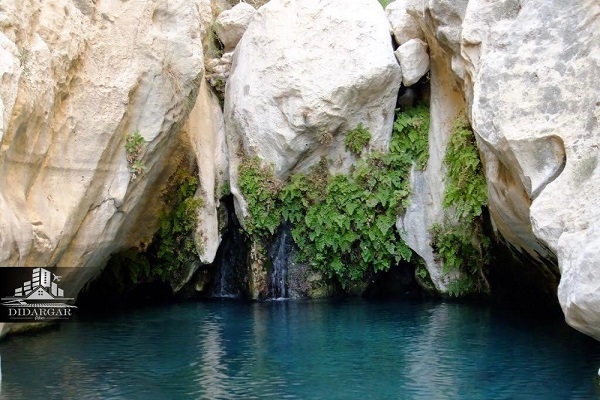 جاهای دیدنی بوشهر - دیدارگر